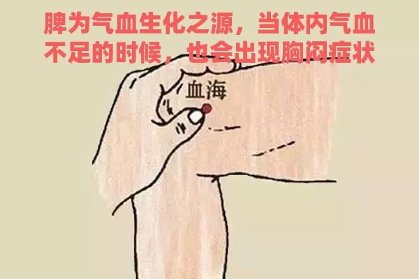 脾为气血生化之源，当体内气血不足的时候，也会出现胸闷症状。