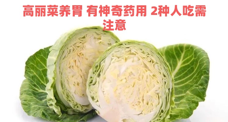 高丽菜养胃 有神奇药用 2种人吃需注意